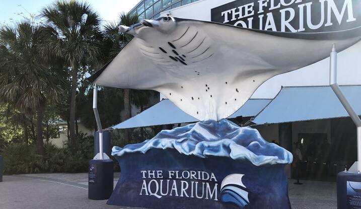 A view of the Florida Aquarium with the Glazer Children's Museum in the background