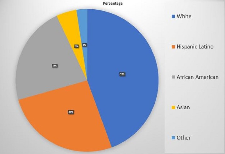 A statistical chart showing poverty rates by race and ethnicity in Hillsborough County, Florida, including the poverty rate for black or African American residents.