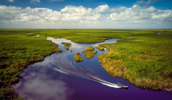 A view of the Everglades National Park in South Florida with a fun facts about Florida sign in the foreground