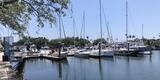 Aerial view of Davis Islands in Tampa Bay, Florida with upscale living and boating culture