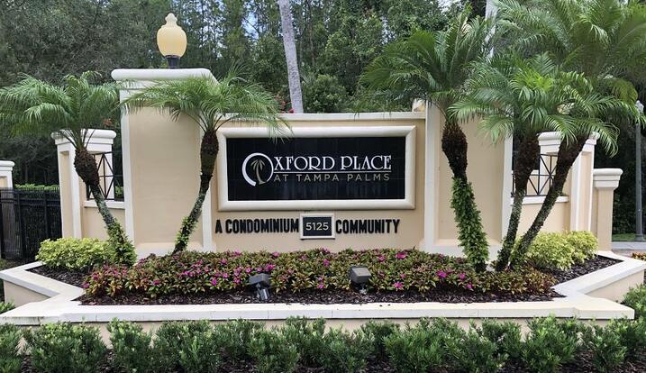 Oxford Place at Tampa Palms