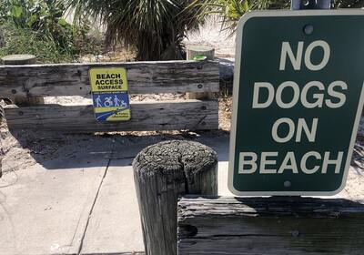 Are Dogs Allowed At Ben T Davis Beach