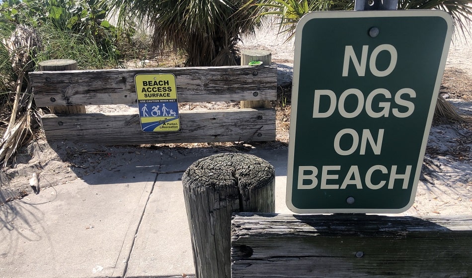 No Dogs On Beach Sign