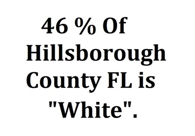 What Percentage Of Hillsborough County Is White